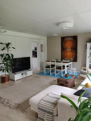 A beautiful row house in Rovaniemi